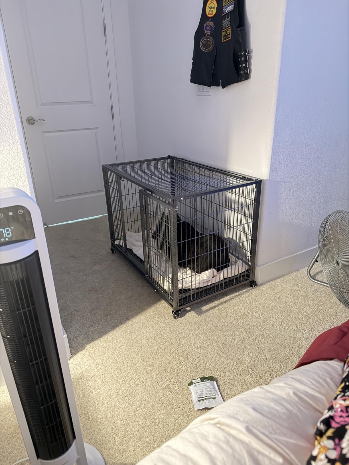 BOLDBONE 48 inch Heavy Duty Indestructible and Escape-Proof Dog Crate Cage Kennel for Large Dogs, High Anxiety Dog Crate with Removable Wire Trays and Wheels, Extra Large XL XXL, Black customer photo 1