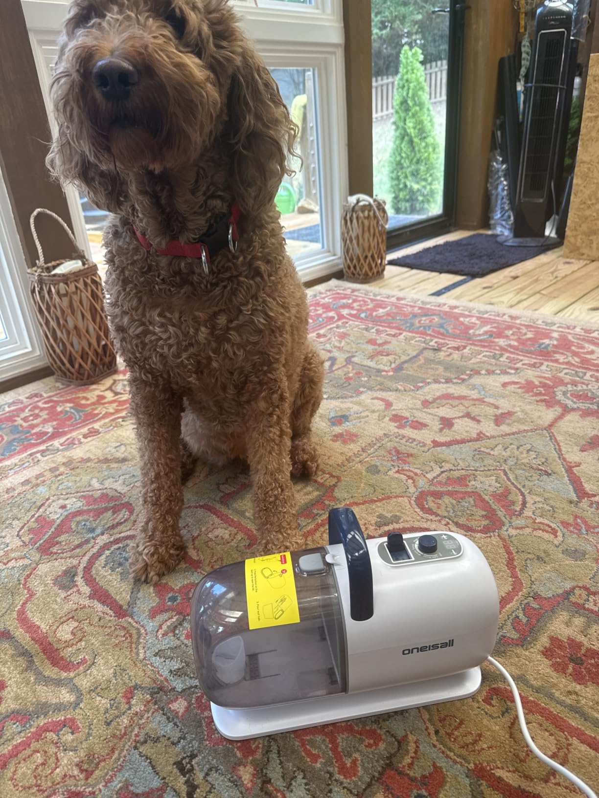 oneisall 8-in-1 Dog Grooming Vacuum & Dryer for Shedding/Drying/Trimming customer photo 2