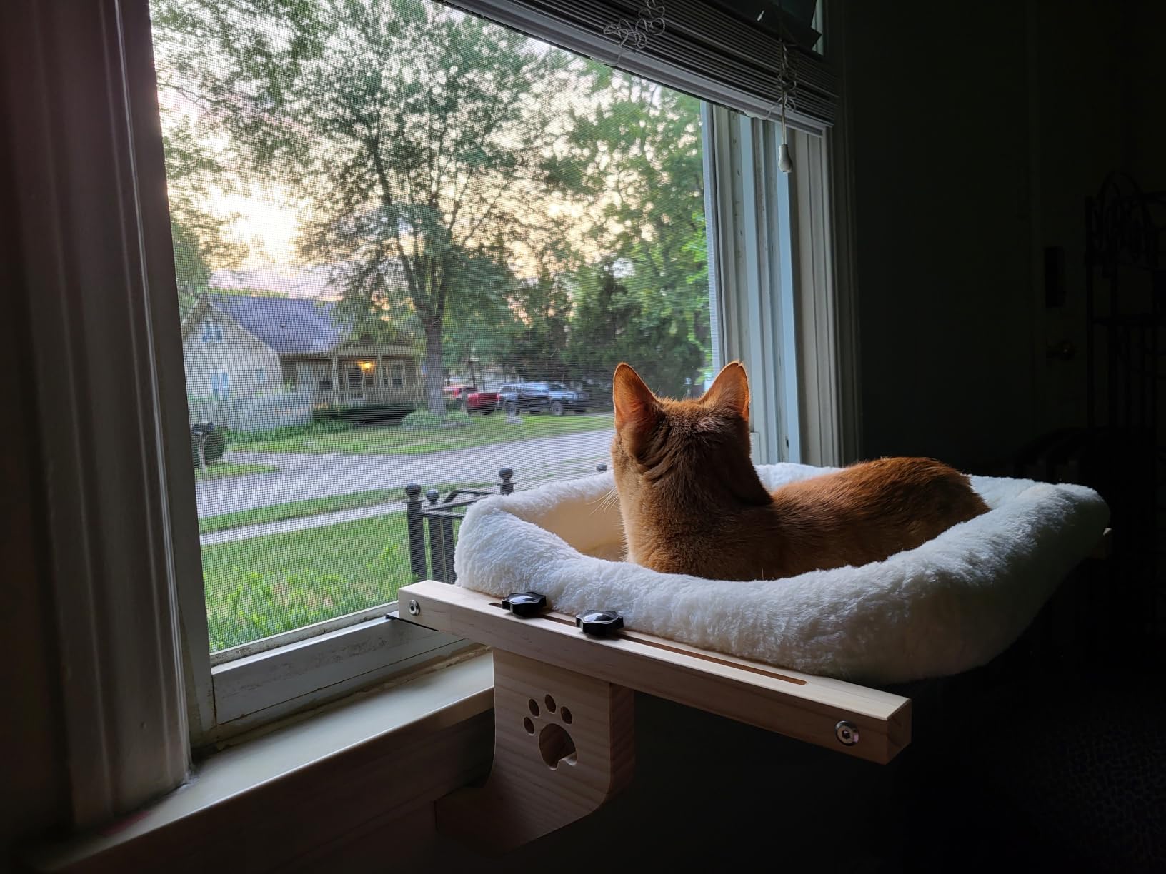 AMOSIJOY Wooden Cat Windowsill Perch with Zipper Cushion Bed, 24.4in customer photo 1