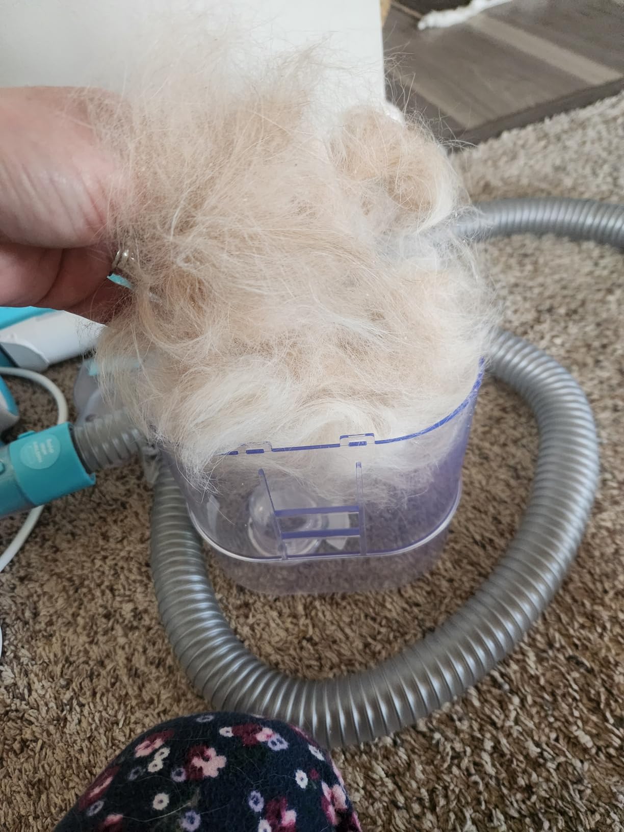 Uproot Clean Pet Grooming Vacuum for Dogs & Cats: 7-in-1, Quiet & Mess-Free customer photo 2