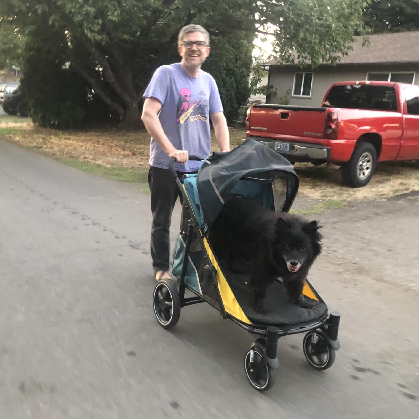 Petbobi Dog Stroller for Large Medium Dogs up to 80 lbs, Dual Entry customer photo 1
