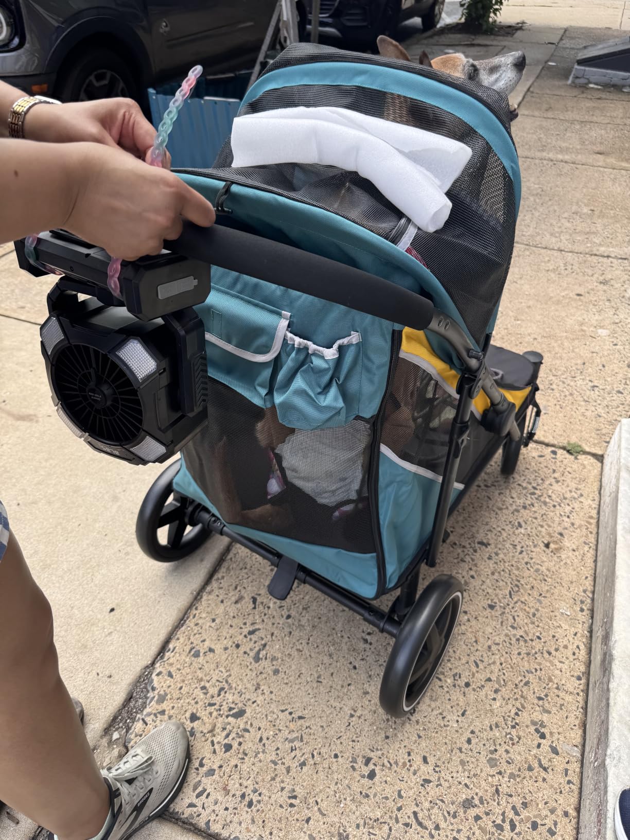 Petbobi Dog Stroller for Large Medium Dogs up to 80 lbs, Dual Entry customer photo 2
