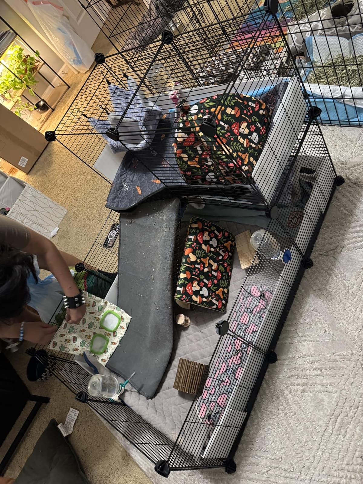 Oneluck Guinea Pig Cage, Indoor Habitat with Waterproof Plastic Bottom,Playpen for Small Pet Bunny, Turtle, Hamster, Loft cage customer photo 1