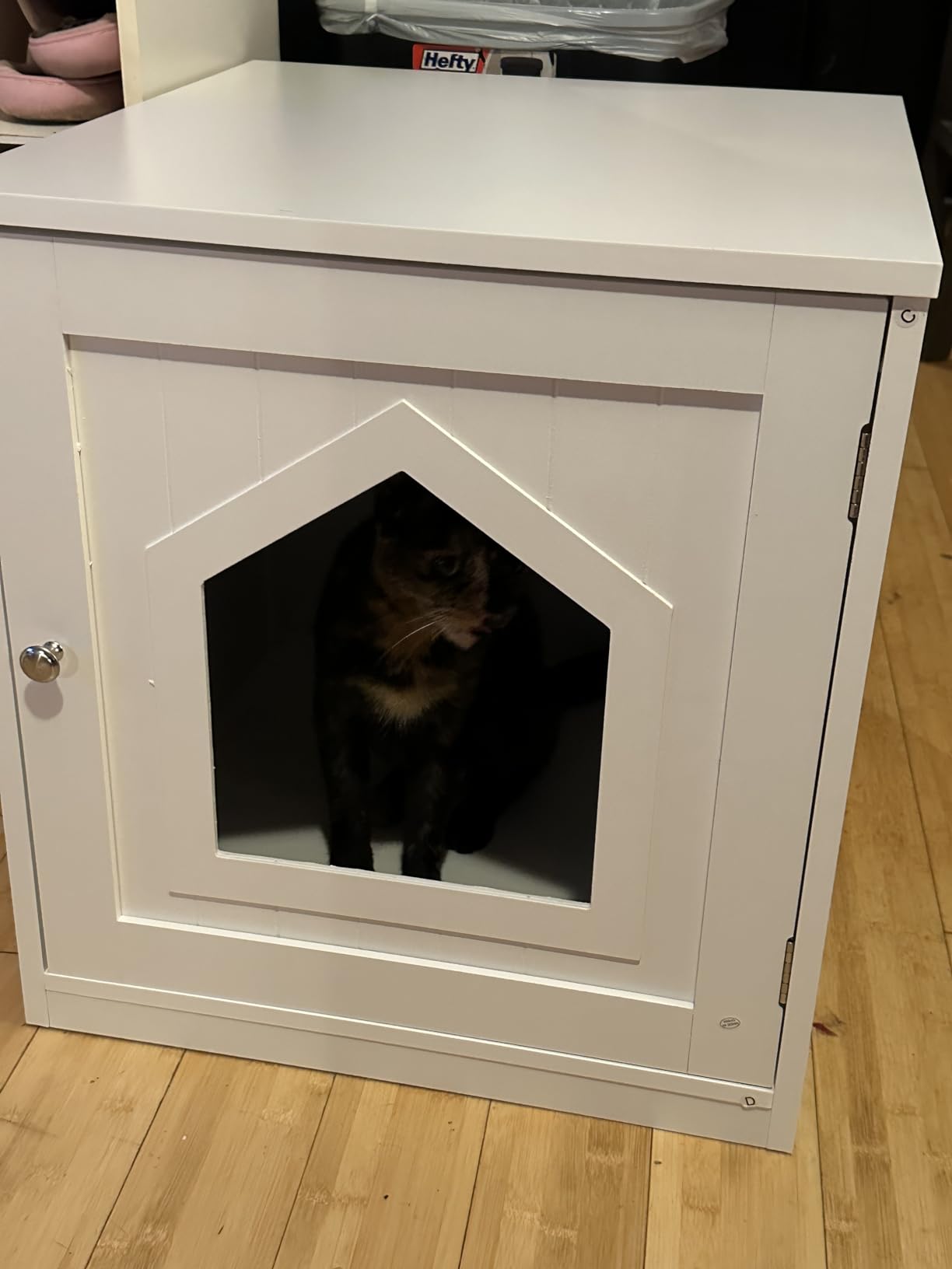 Cat Litter Box Enclosure Hidden Kitty Litter Box Furniture Indoor Cat Box Cabinet House Side Table Nightstand Washroom (Black) customer photo 2