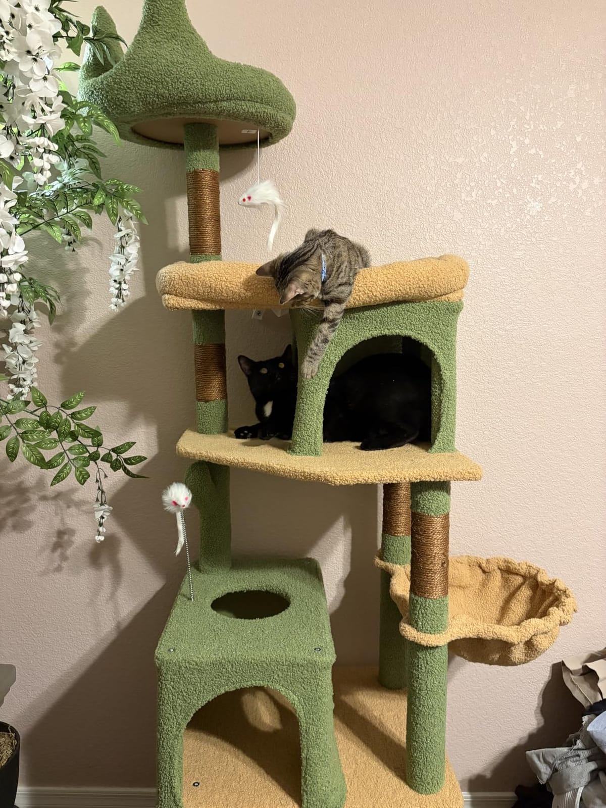 Globlazer S72 Heavy Duty Cat Trees for Large Cats 20 lbs+, Dark Gray customer photo 1