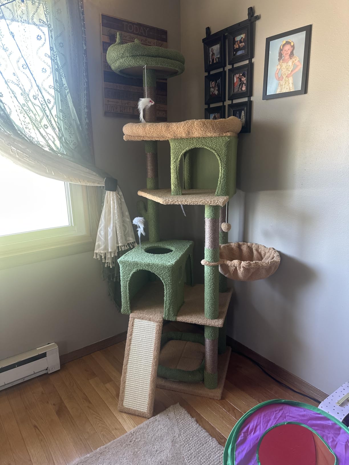 Globlazer S72 Heavy Duty Cat Trees for Large Cats 20 lbs+, Dark Gray customer photo 2