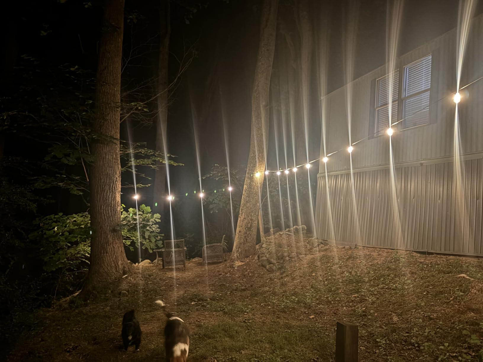 addlon 100FT Outdoor String Lights ST38 LED with Remote Waterproof Dimmable customer photo 2