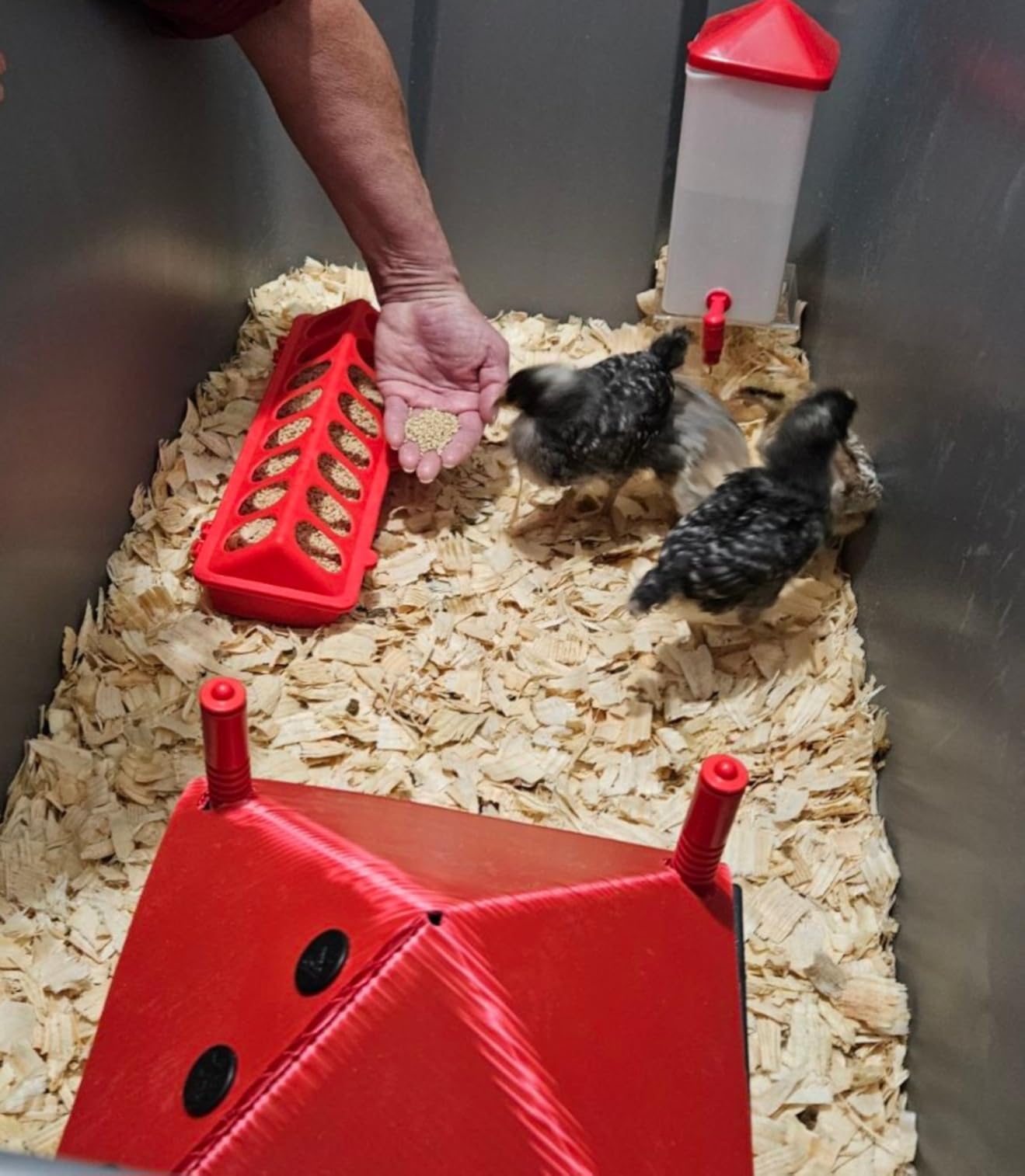 ZenxyHoC Baby Chick Waterer with Nipple Drinker 2 * 0.26 Gal (White) customer photo 2