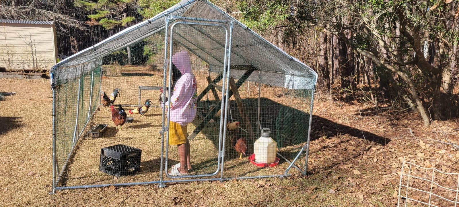 Quictent Large Metal Chicken Coop Run for 30+ Poultry w/Side Hardware Cloth customer photo 1