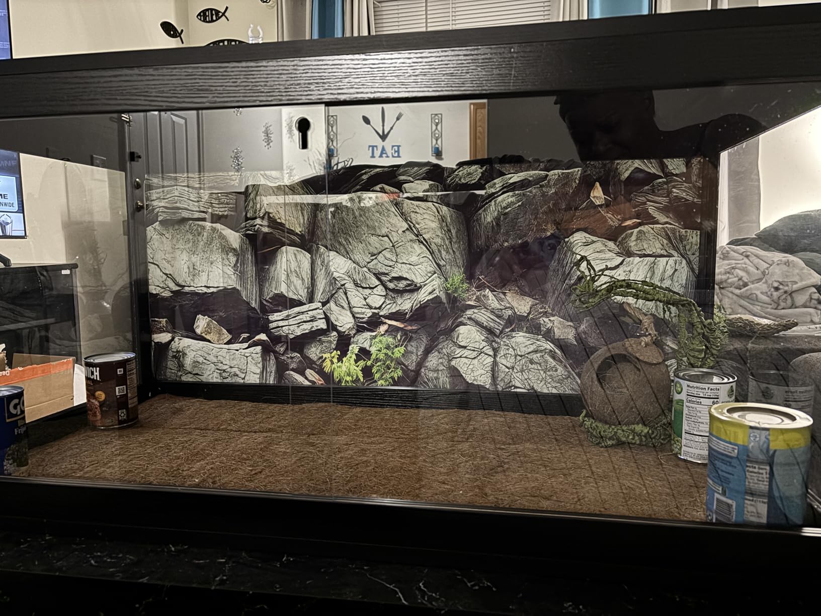Prolee 81 Gallon Reptile Terrarium Tank 48 Inch Lizard Tank Bearded Dragon Tank with Metal Mesh Roof Door, Snake Tank with Lock Design, 48