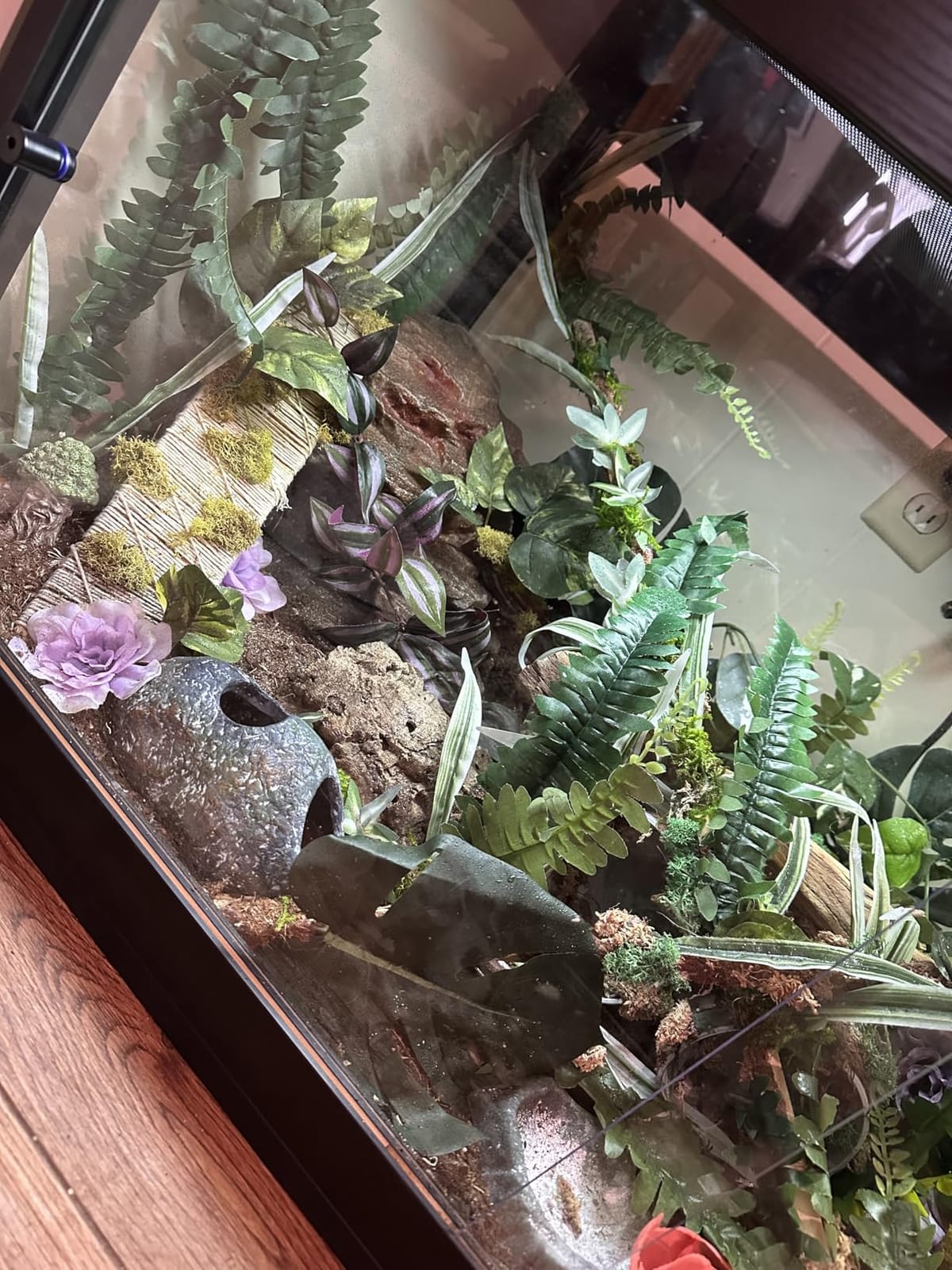 Prolee 81 Gallon Reptile Terrarium Tank 48 Inch Lizard Tank Bearded Dragon Tank with Metal Mesh Roof Door, Snake Tank with Lock Design, 48