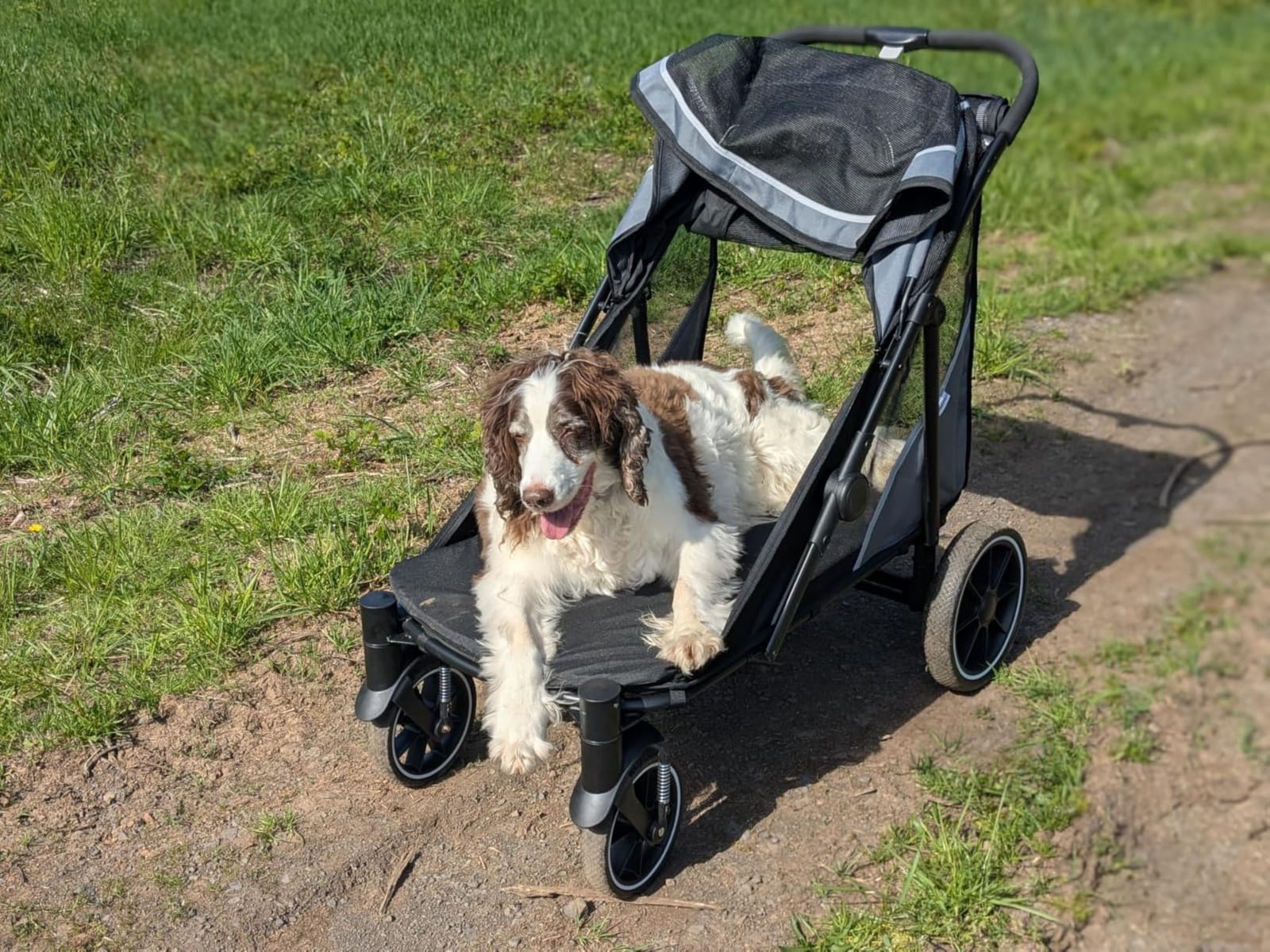 Dog Stroller for Medium/Large Dogs One-Click Folding, Extra Large Pet Stroller for 2 Dogs with Storage Pocket & Shock Absorption, Up to 130 lbs, Red customer photo 2