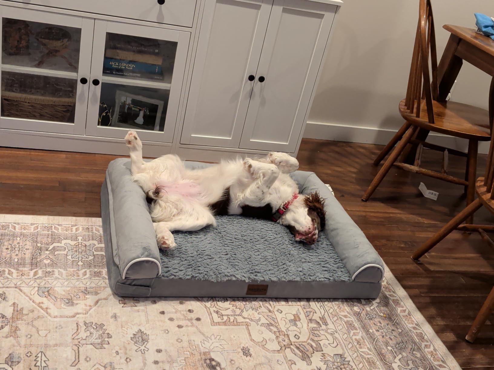NANUYA Orthopedic Dog Bed for Large Dogs, 36 x 27 Inch, Light Grey customer photo 1