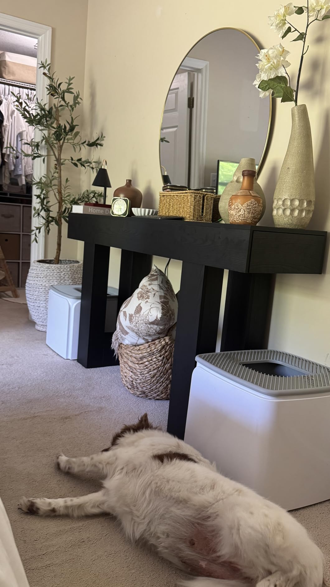 IRIS USA Cat Litter Box, Top Entry, Dog Proof, Covered, Scoop, Gray customer photo 2