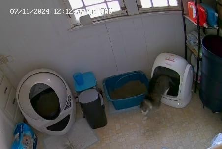 Meowant Self-Cleaning Cat Litter Box, 75L Extra Large Open-Top, APP Control customer photo 1