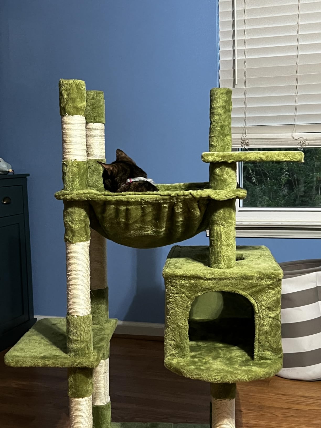 Heybly Cat Tree, 71-Inch-Tall Tower for Indoor Cats with 2 Perches HCT034G customer photo 2