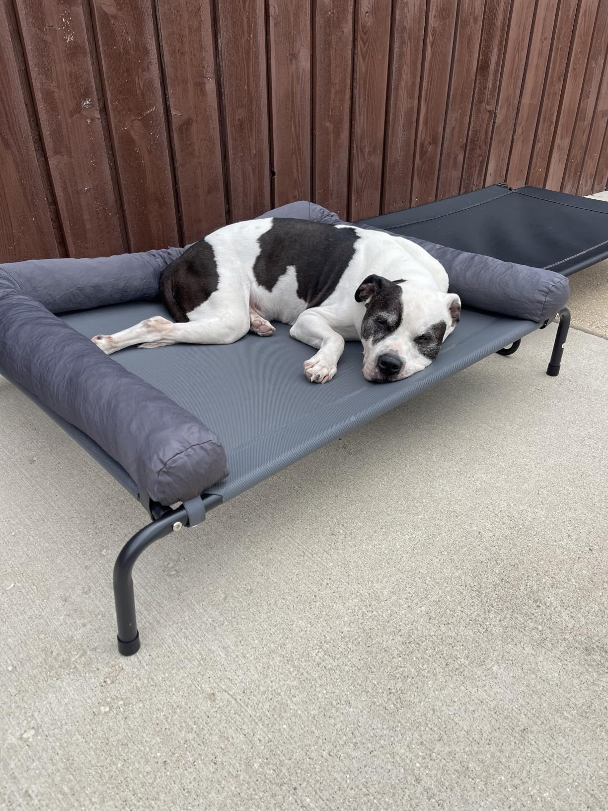 WESTERN HOME Cooling Elevated Dog Bed for Large Dogs,Outdoor Raised Dog Bed customer photo 1