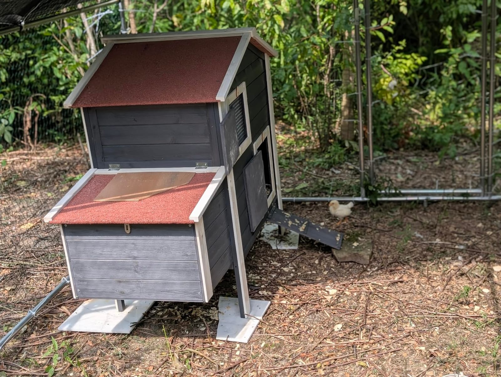 Large Metal Chicken Coop, Chicken Runs for Yard with Cover Walk-in Poultry Cage for 10 20 Chickens, Chicken Pen Duck Coop with Water-Resident Top and Feeding Door, Spire Hen House 12.8Lx9.84Wx6.6H FT customer photo 1