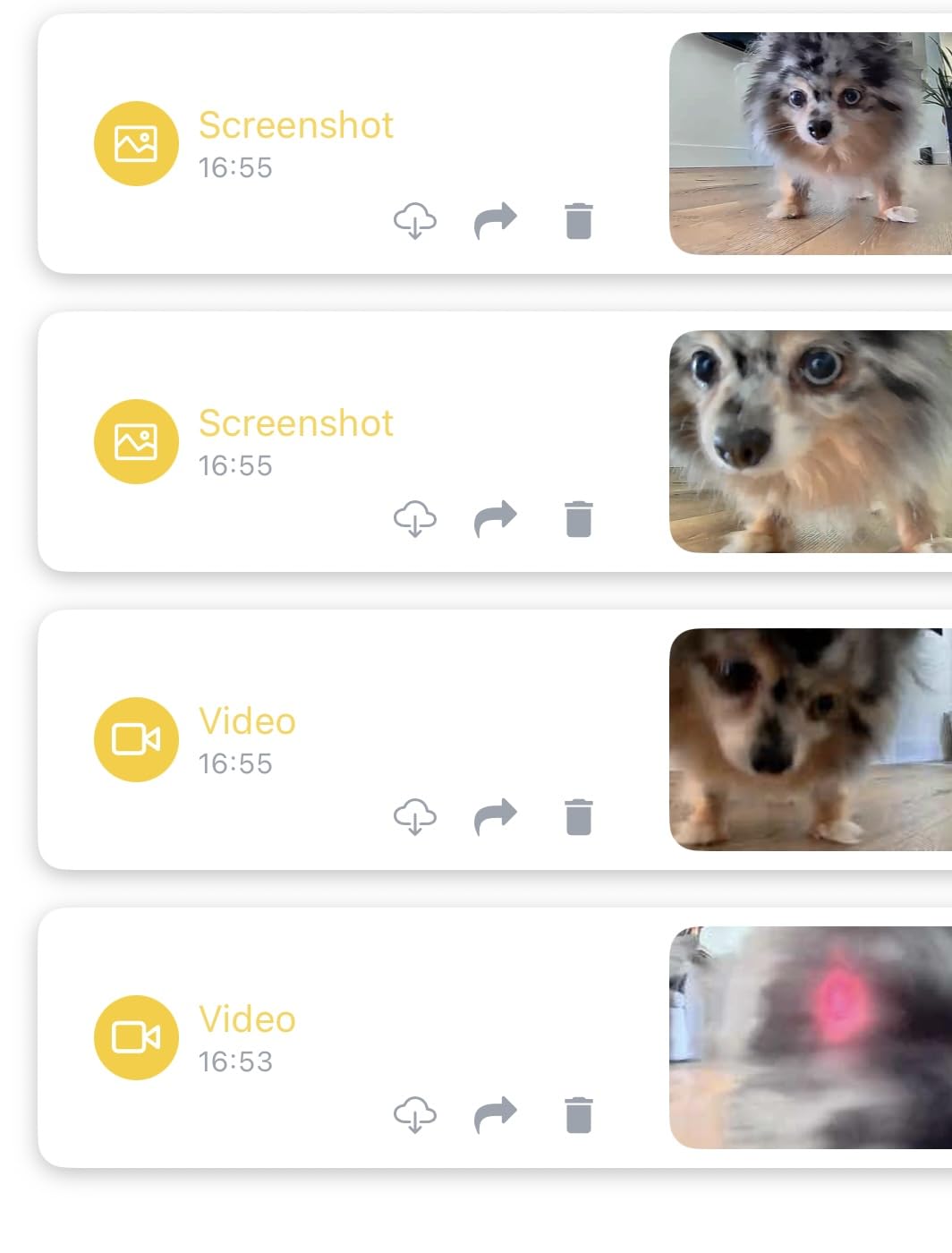 Pet Camera Robot with Treat Dispenser & Laser, Moving Cat Robot Camera for Dogs and Cats with Two-Way Audio, App Remote Control, Auto Recharge, 1080P Night Vision - BQ70 customer photo 1