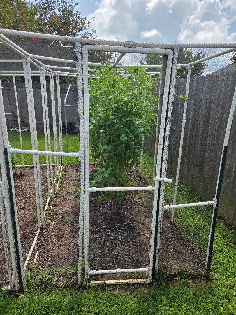 Bird Netting 25x100 Ft, 1 in Mesh Heavy Duty Garden Netting customer photo 2