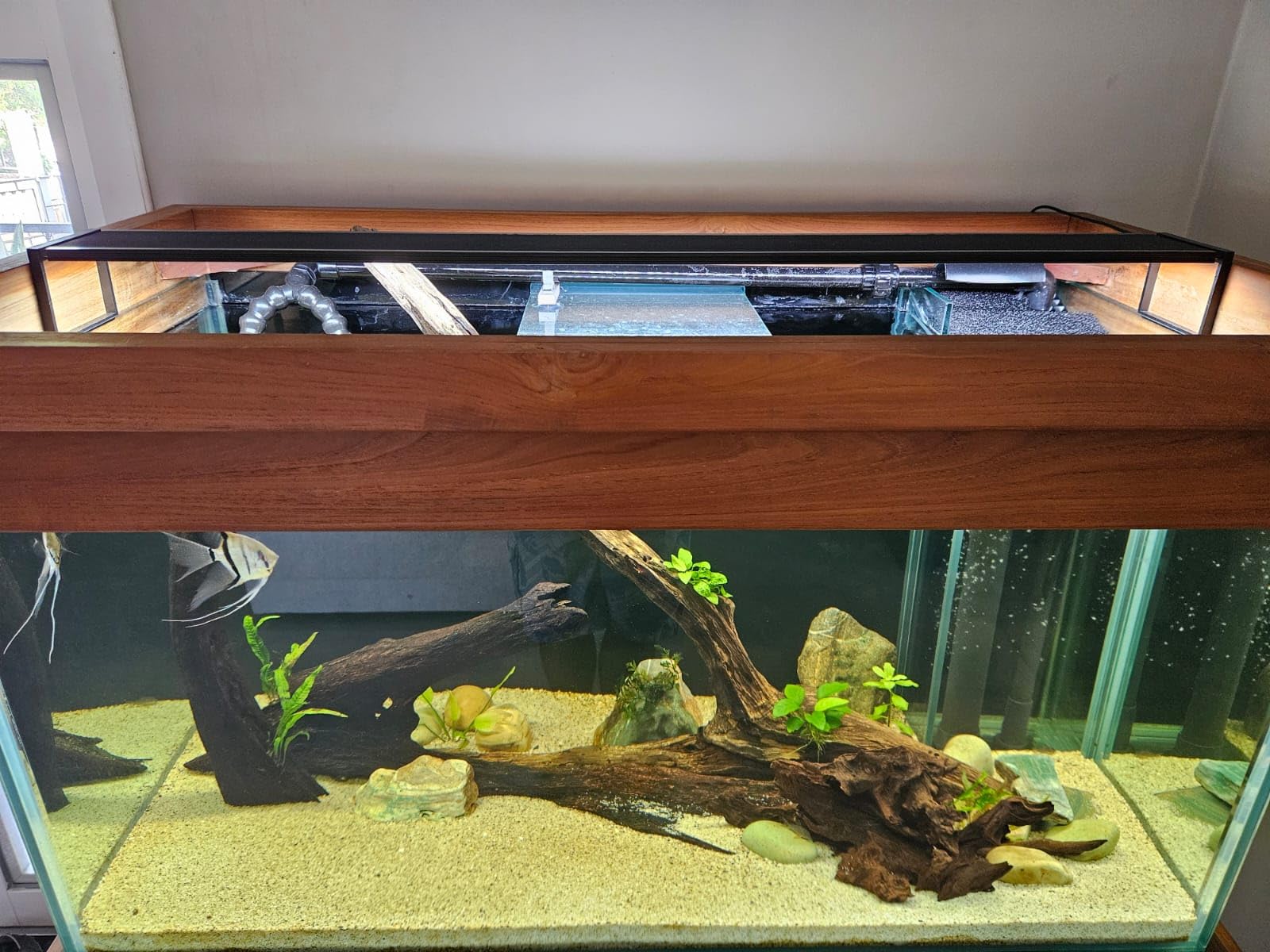 FZONE Aquarium Light 60W LED Plant Light for 35-43