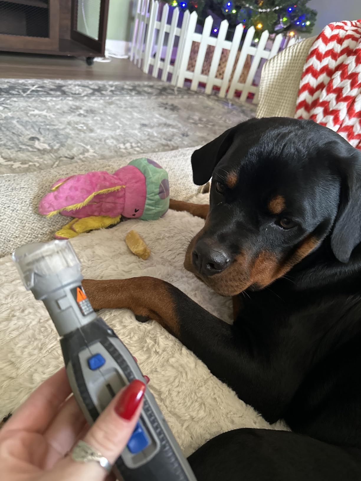 Dremel PawControl 7760-PET Dog Nail Grinder and Trimmer, Pet Grooming Kit customer photo 1