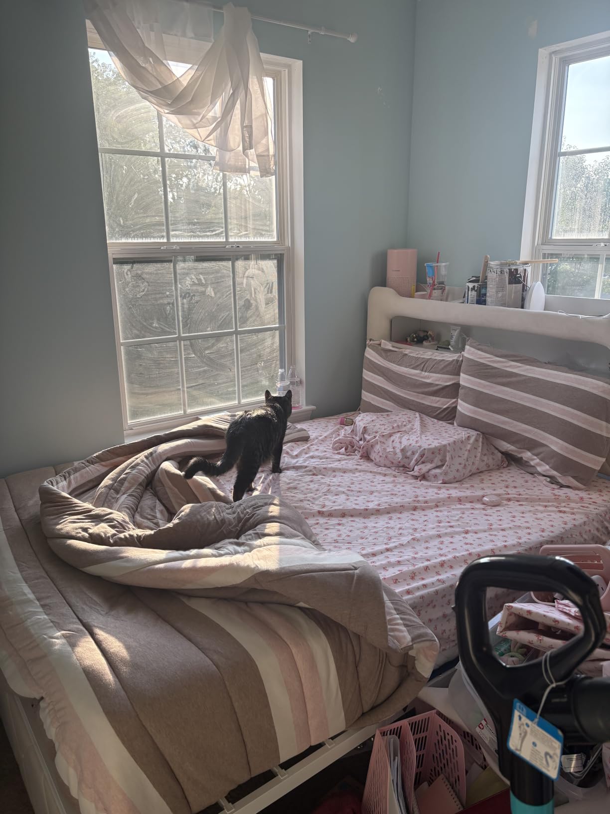 Full Upholstered LED Bed Frame with 2 Storage Drawers and 2-Tier Storage Headboard, Velvet Princess Platform Bed with Charging Station & Bookcase, Heavy Duty Metal Support, No Box Spring Needed, Pink customer photo 2