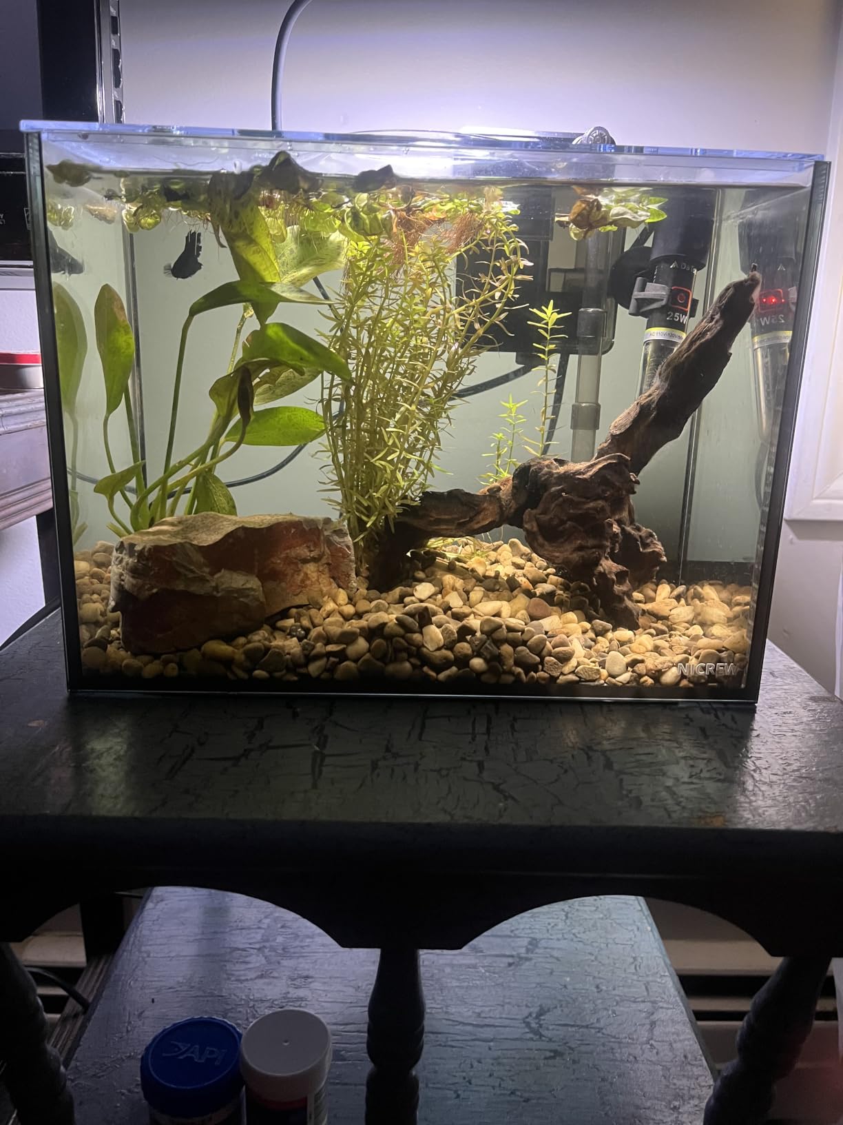 NICREW 2.5 Gallon Nano Nature Aquarium Kit Betta Fish Tank, Basic, Black customer photo 1