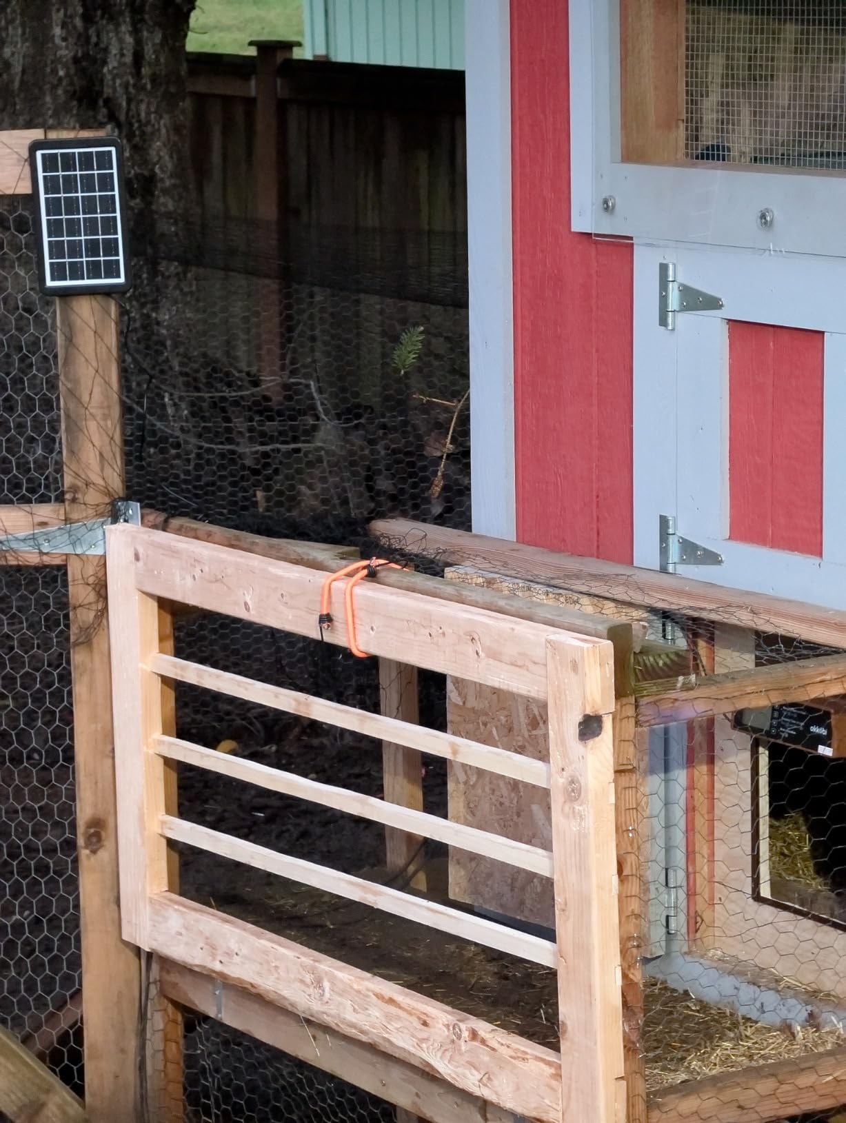 Chicken Coop Door, Solar Powered Automatic with LCD Display, Light Sensor customer photo 2