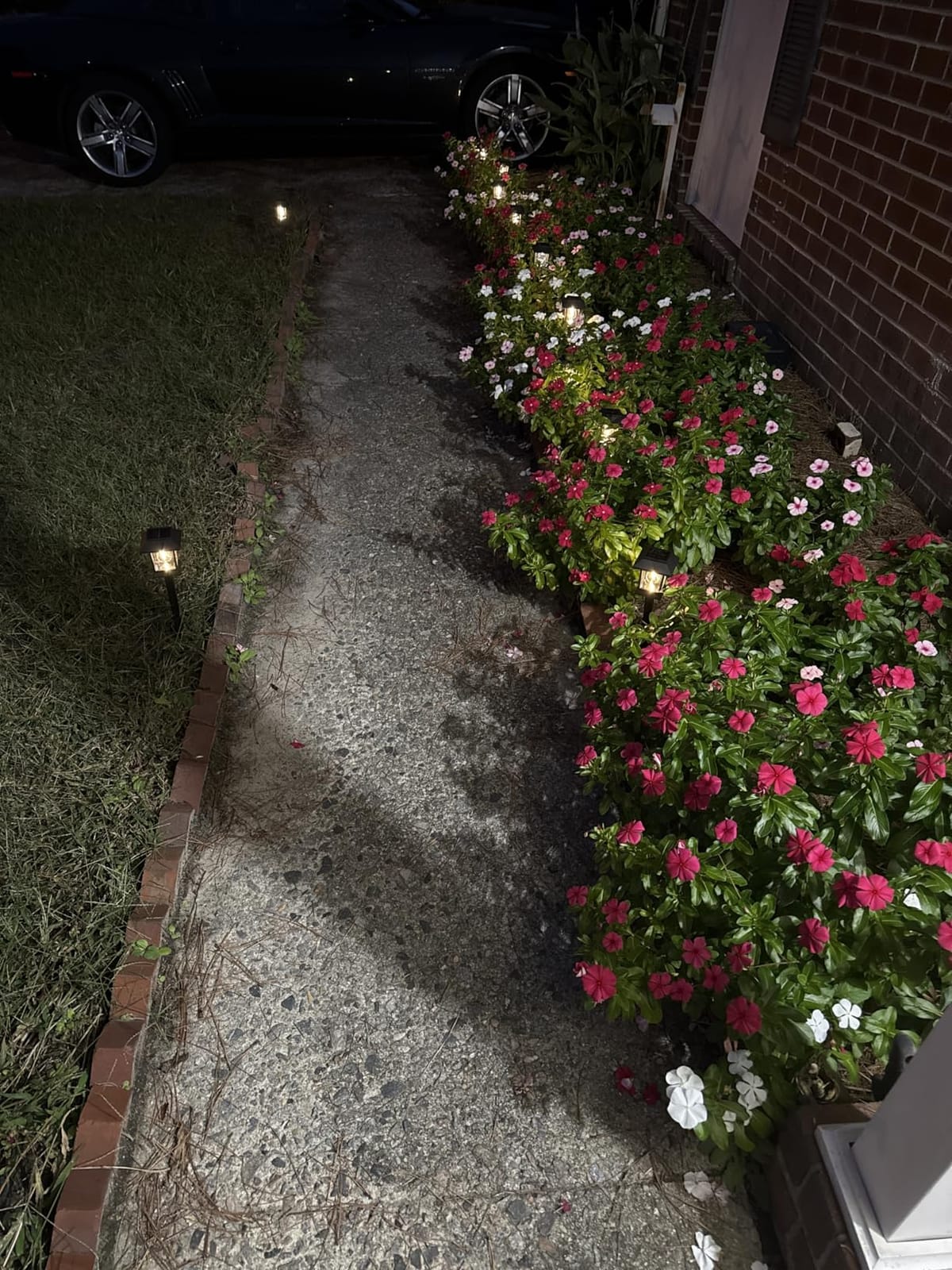 Benany Solar Outdoor Lights, 12 Pack Solar Pathway Lights Waterproof, Landscape Lighting for Path Walkway Lawn Garden Yard Outside Décor, Black customer photo 2