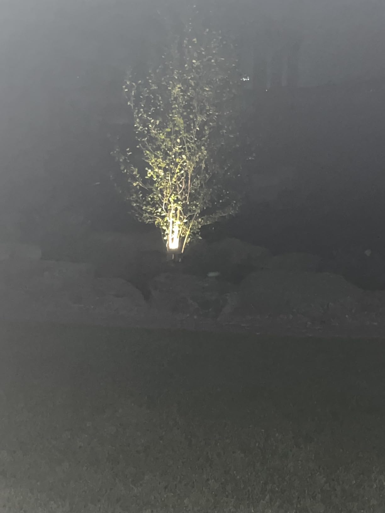 Solar Spot Lights Outdoor Waterproof: 1000LM Big Adjustable Spotlight - 2-in-1 15Hrs+ Long Lasting Spot Light - Solar Powered Spotlights Landscape Lighting for Garden, Yard, Tree, Flag, Wall, Pathway customer photo 2