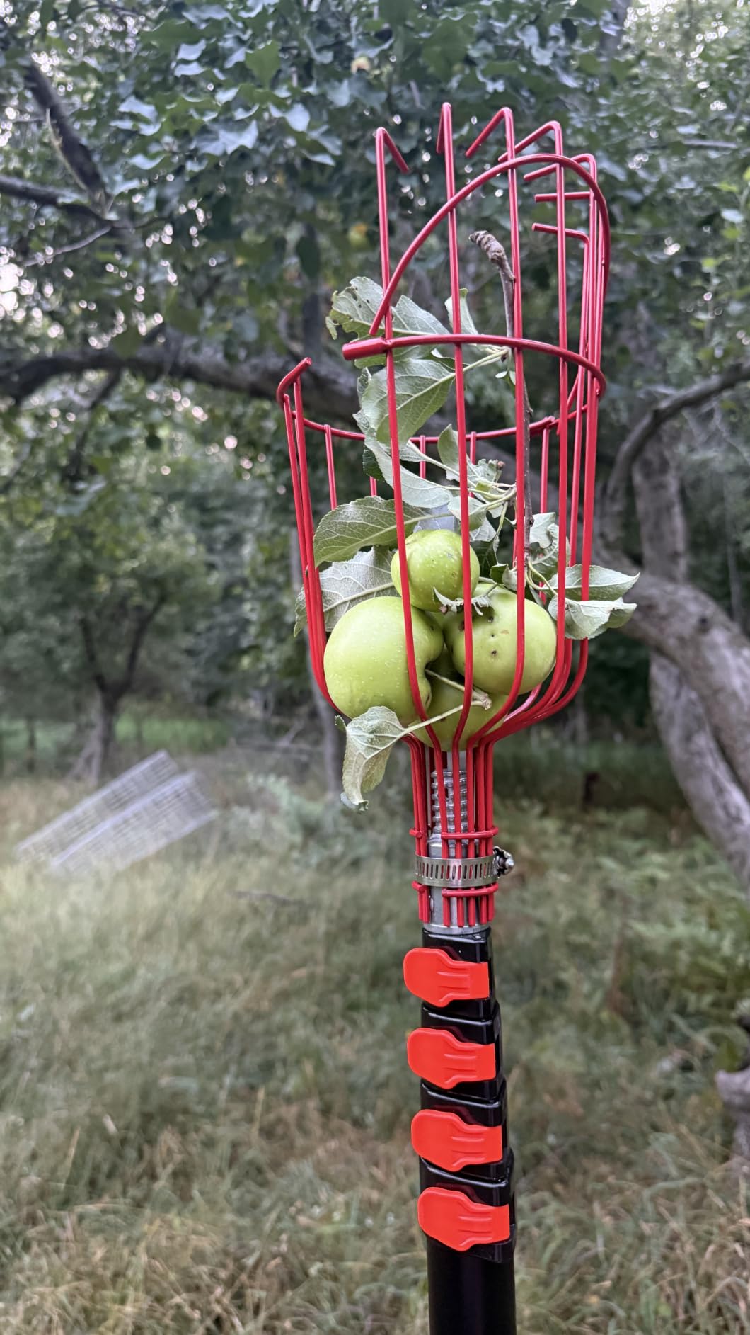 LAANPOLE 26FT Reach Fruit Picker Pole with Basket Telescoping, Apple Picker with 5-20FT Telescoping Pole for Apple Orange Lemon Mango Avocado Guava Fruit Picking customer photo 2