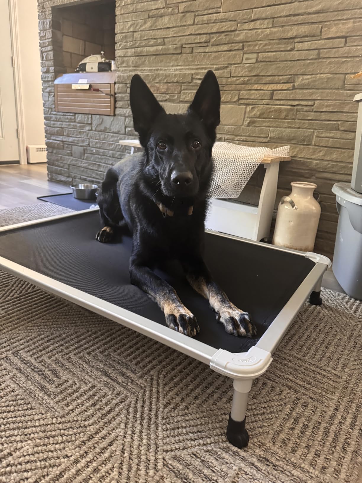 Veehoo Chew Proof Elevated Dog Bed, Cooling Raised Pet Cot, Silver Aluminum customer photo 1