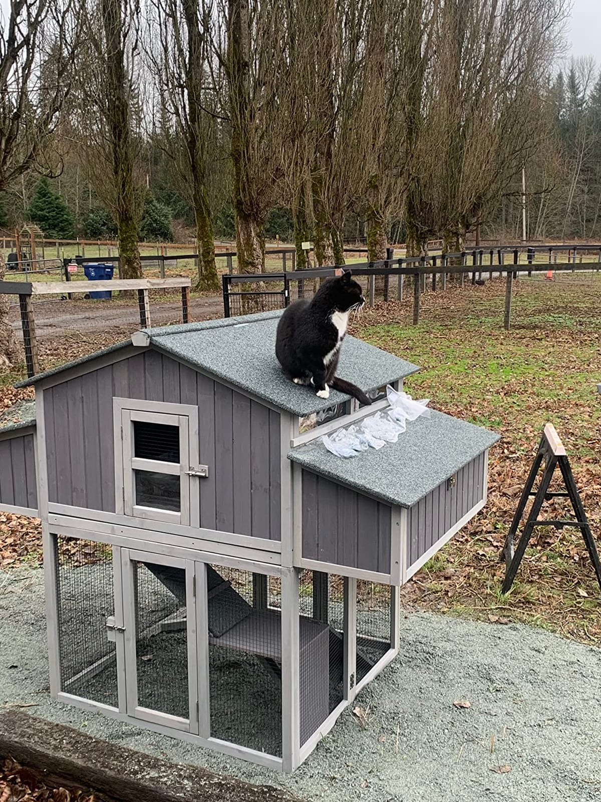 Chicken Coop Mobile Chicken House with Large Nesting Box customer photo 2