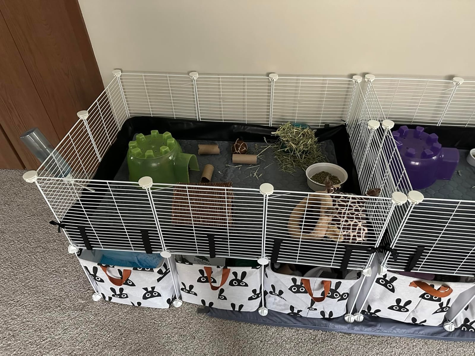 MEEXPAWS Guinea Pig Cages Small Animal Playpen Large 42