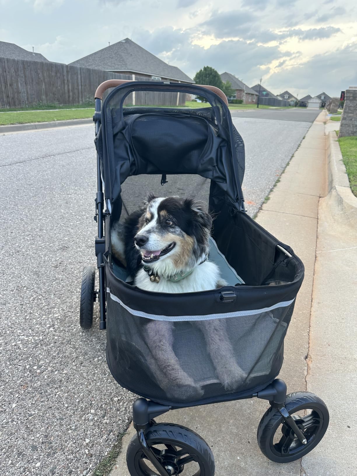 Zoosky Pet Stroller for Large Dogs up to 110lbs, Large Pet Stroller customer photo 2