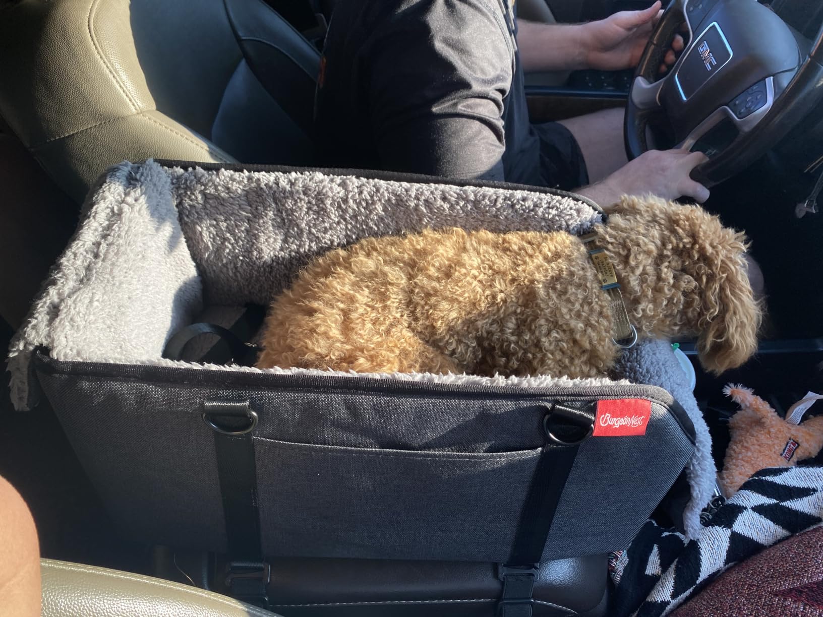 BurgeonNest Center Console Dog Car Seat for Small Pets to 11lbs, Grey customer photo 2