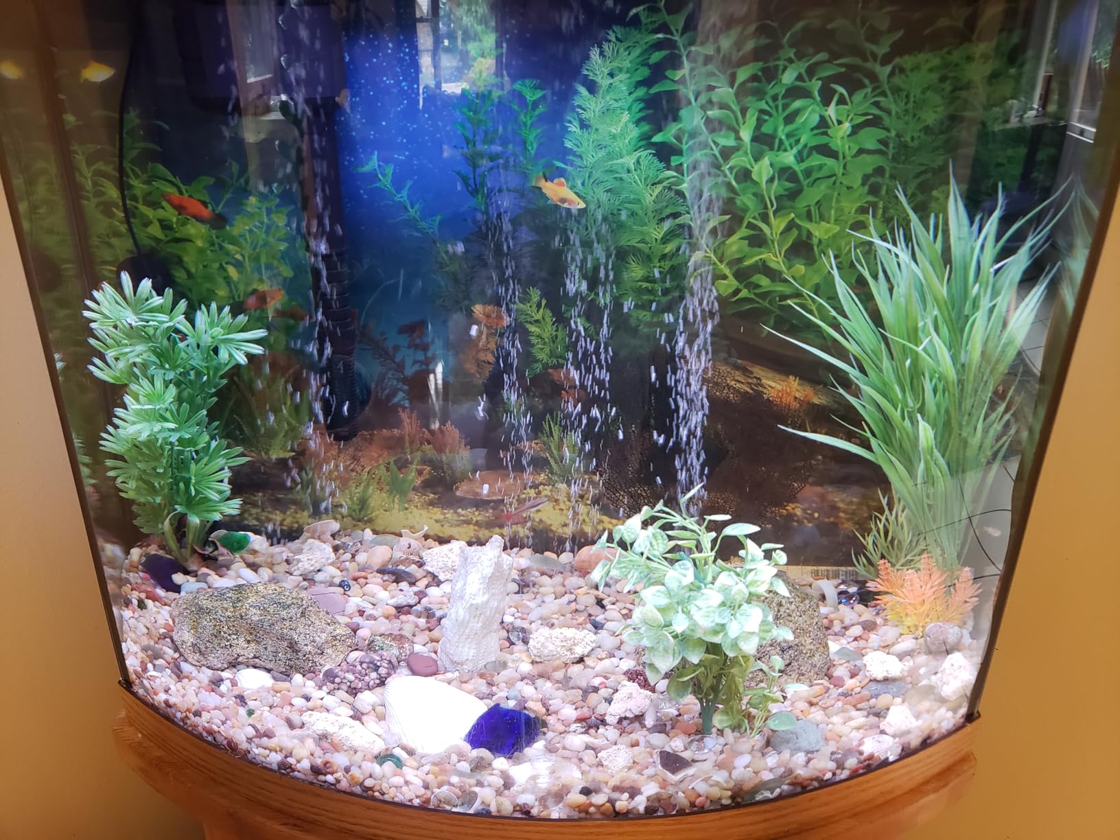 SEAOURA WRGB DIY Aquarium Plant Light with Temp Alarm for 30-36in Fish Tank customer photo 1