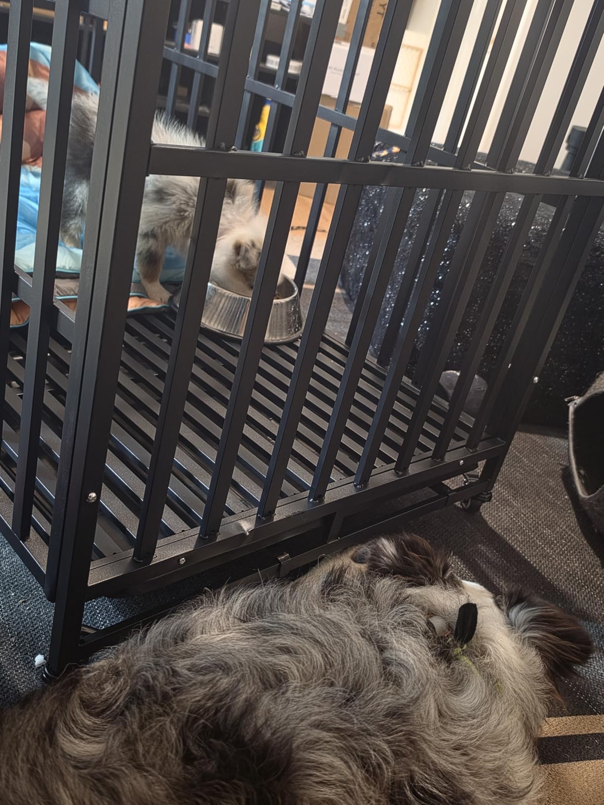 Heavy Duty Dog Crate, 43'' Large Indestructible Cage for High-Anxiety Dogs customer photo 2