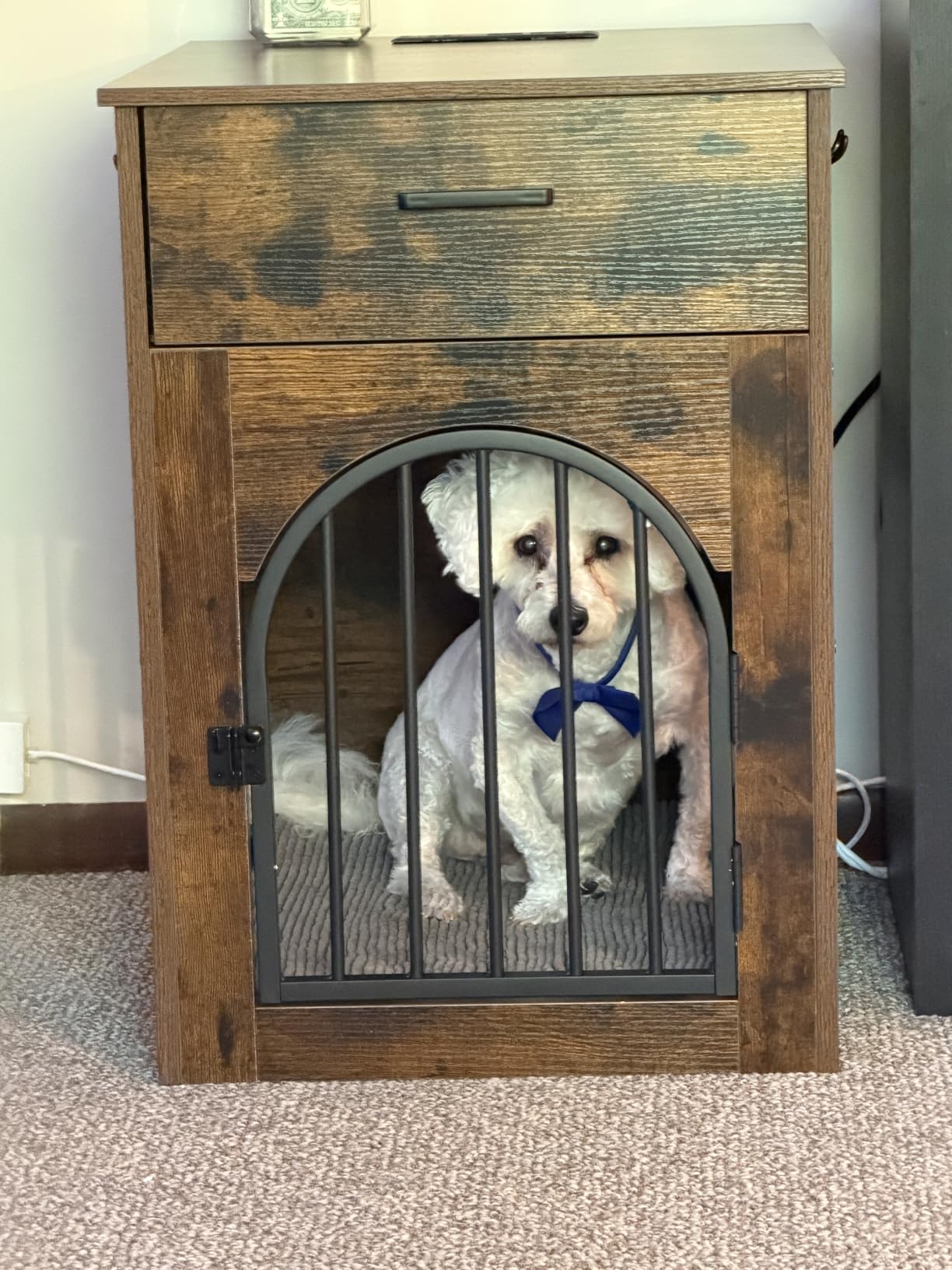 CHOEZON Dog Crate Furniture, Wooden Dog Kennel with Charging Station and Storage Drawer, Indoor Pet Crate End Table for Small Breeds, Dog Cage Furniture for Living Room, Bedroom, Greige MGW01UFH customer photo 1