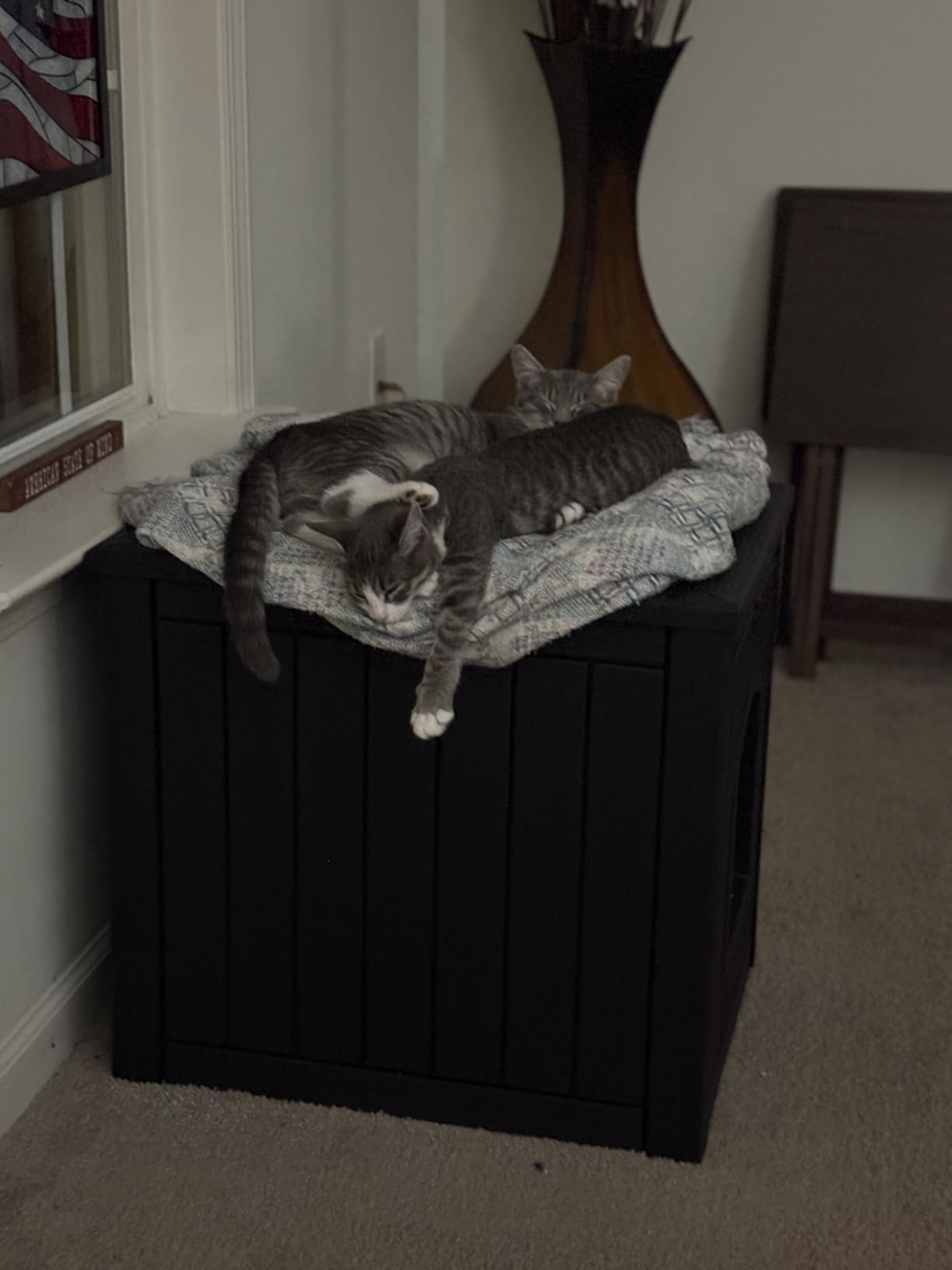 Cat Litter Box Enclosure, Black customer photo 1