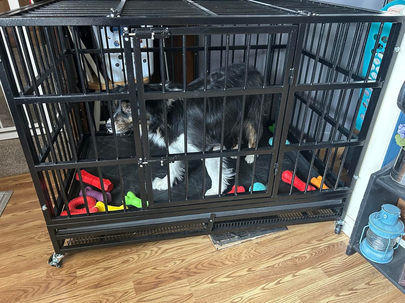 LEMBERI 48 inch Heavy Duty Indestructible Dog Crate, High Anxiety Extra Large Dog Cage for Large Dogs, XL Steel Escape Proof Dog Kennel with Wheels and Removable Tray (Black, 47.2 * 30.7 * 34.6 inch) customer photo 1