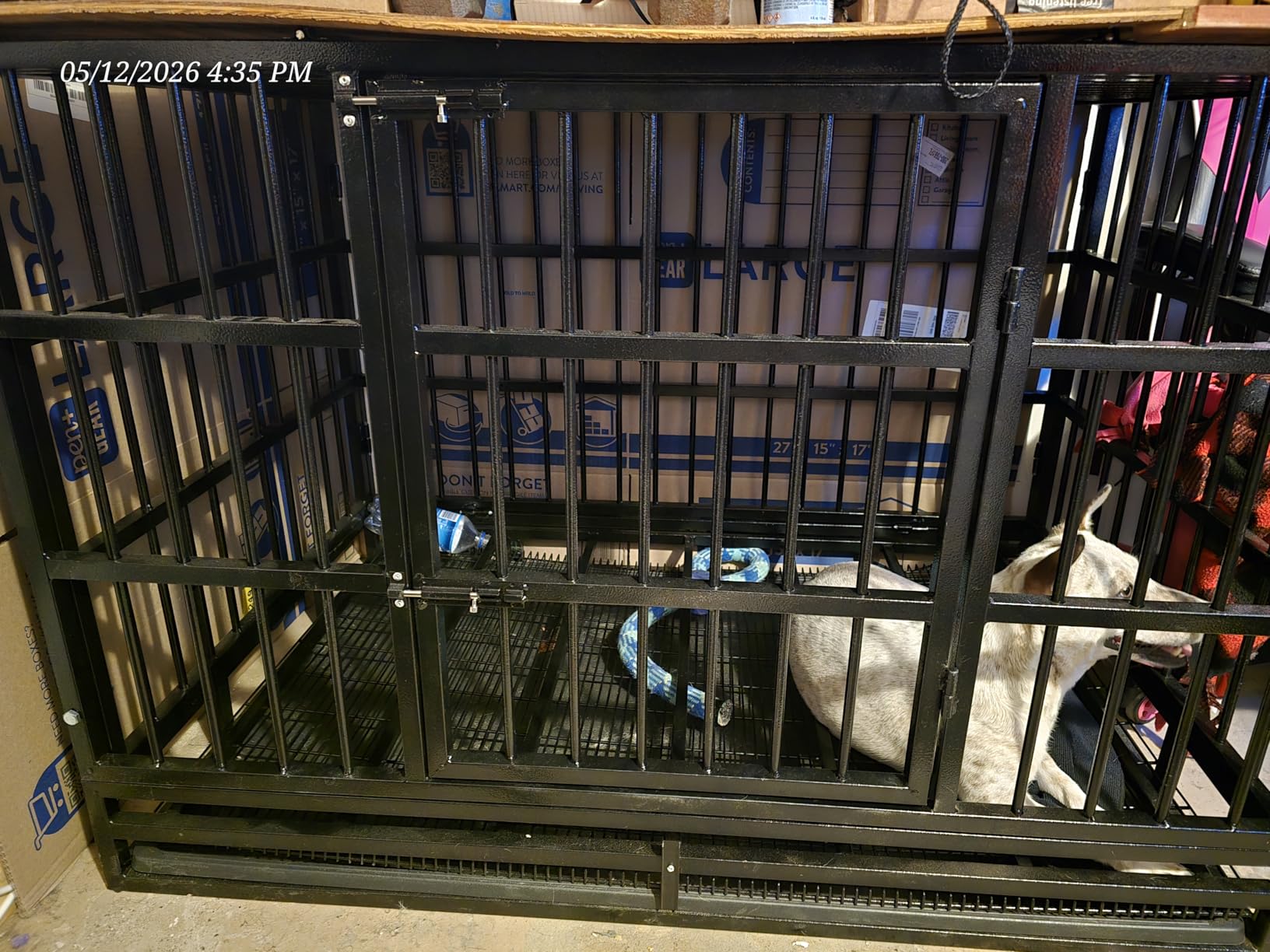 LEMBERI 48 inch Heavy Duty Indestructible Dog Crate, High Anxiety Extra Large Dog Cage for Large Dogs, XL Steel Escape Proof Dog Kennel with Wheels and Removable Tray (Black, 47.2 * 30.7 * 34.6 inch) customer photo 2