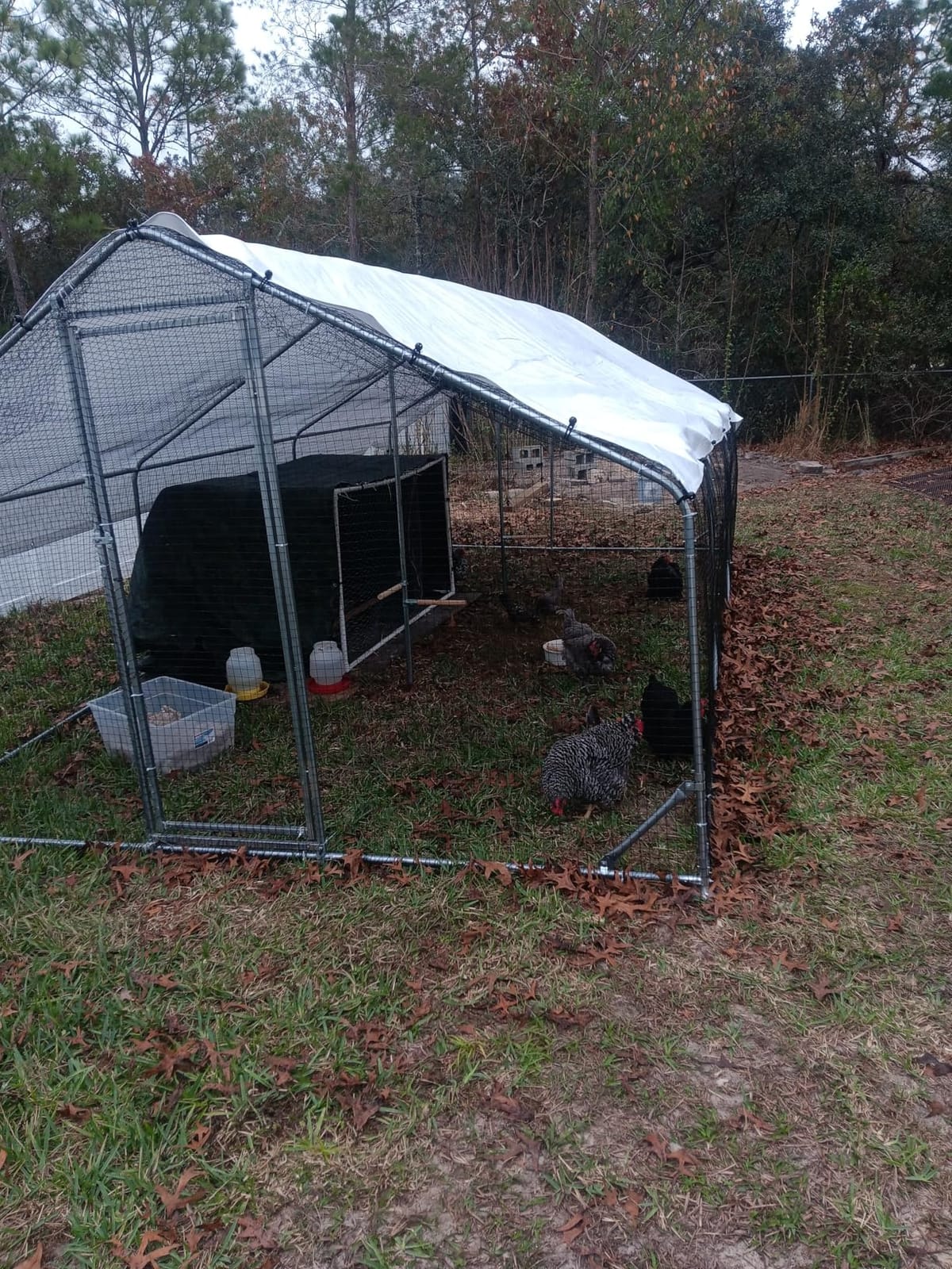 CHIKENCOOP 2-Room Metal Chicken Coop Run, Hardware Cloth, Solar Light customer photo 1