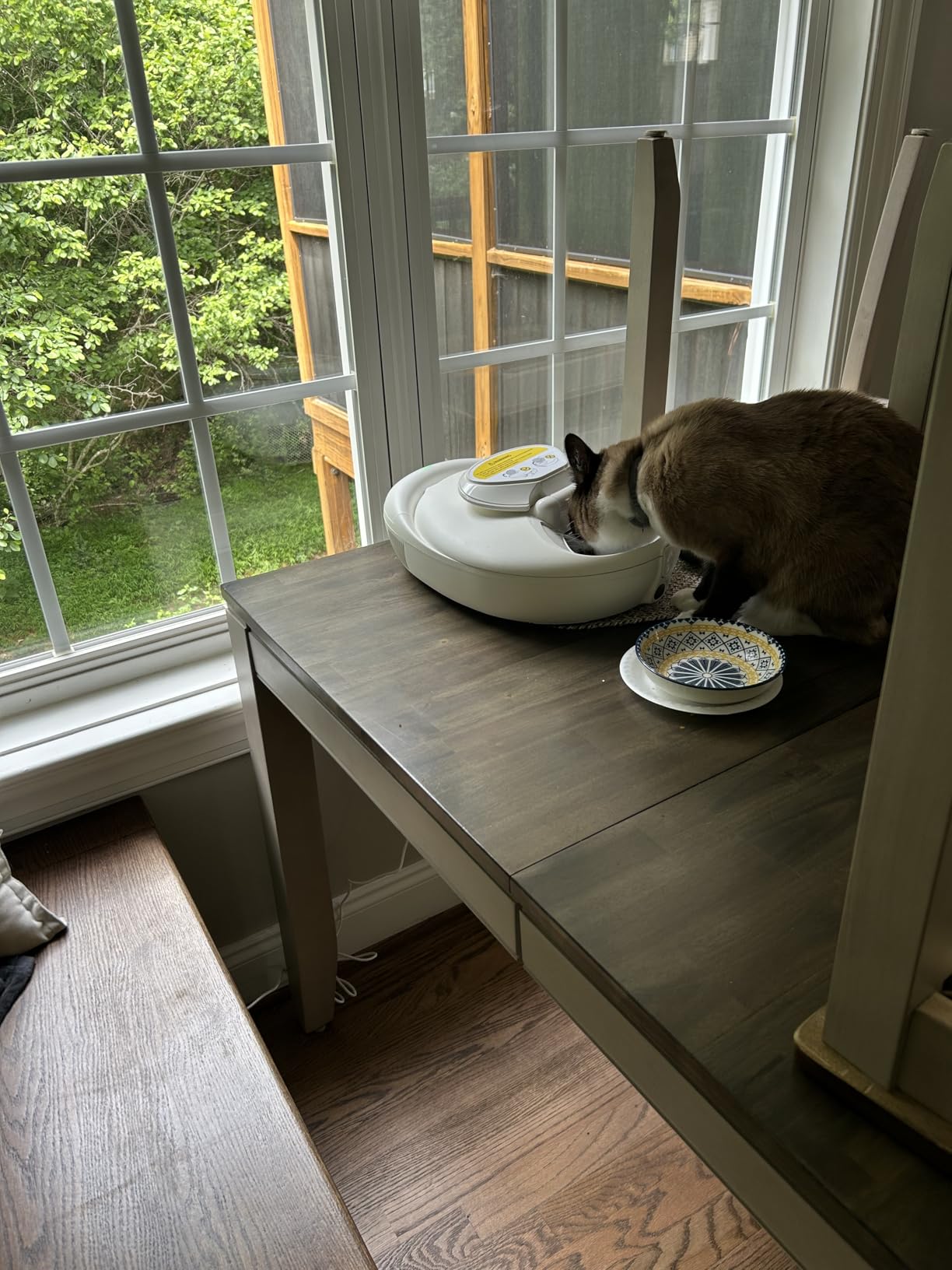 Automatic Wet Food Cat Feeder, 24H Food Freshness Smart Dual‑Temp Refrigerated Cat Feeder with Semiconductor Cooling & Pre‑Heating, App‑Controlled, Easy to Clean, 4‑Day Feeding Schedule customer photo 1