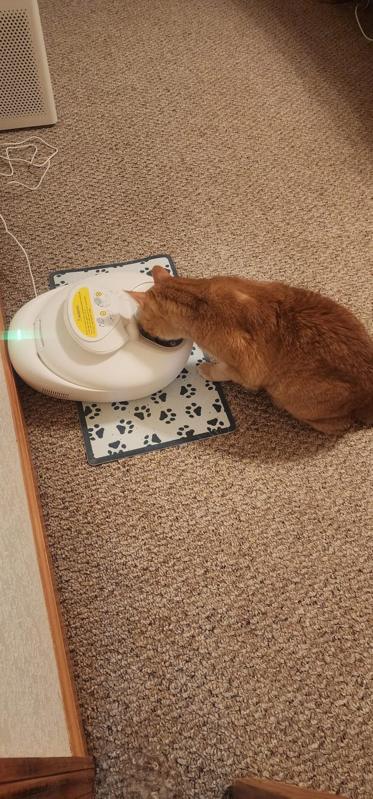 Automatic Wet Food Cat Feeder, 24H Food Freshness Smart Dual‑Temp Refrigerated Cat Feeder with Semiconductor Cooling & Pre‑Heating, App‑Controlled, Easy to Clean, 4‑Day Feeding Schedule customer photo 2