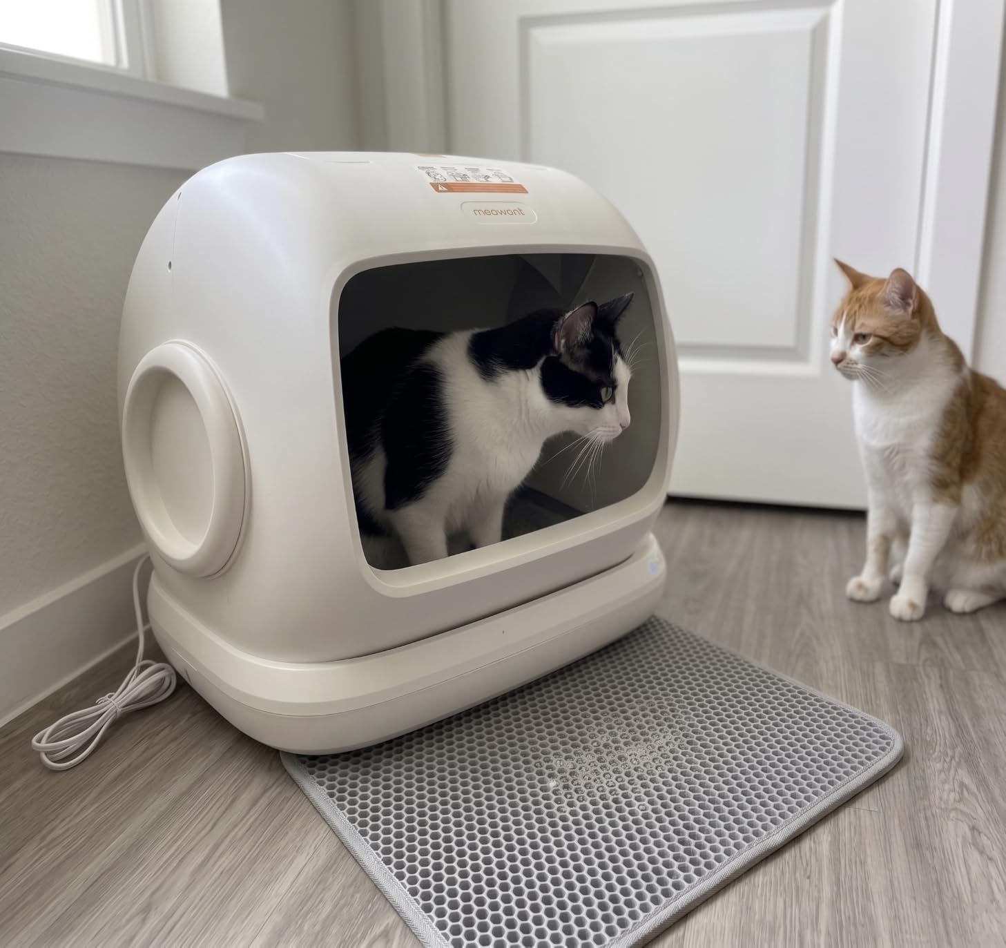 Meowant Self-Cleaning Cat Litter Box, 106L Large Capacity for Multiple Cats customer photo 2