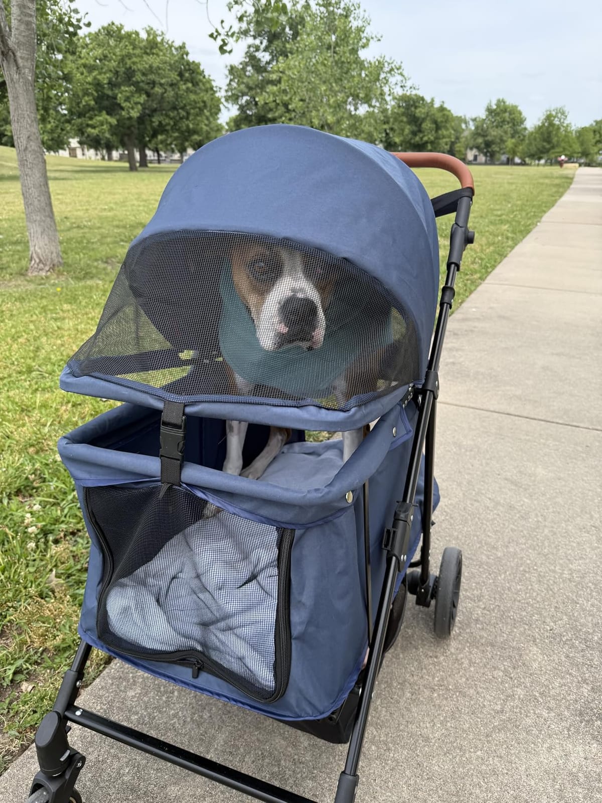 Dog Stroller for Medium & Large Dogs Up to 66 lbs, Pet Stroller for 2 Small Dogs with Adjustable Handle & Canopy, Sun Shades, Storage Organizer, Foldable & Ventilated,Navy Blue customer photo 1