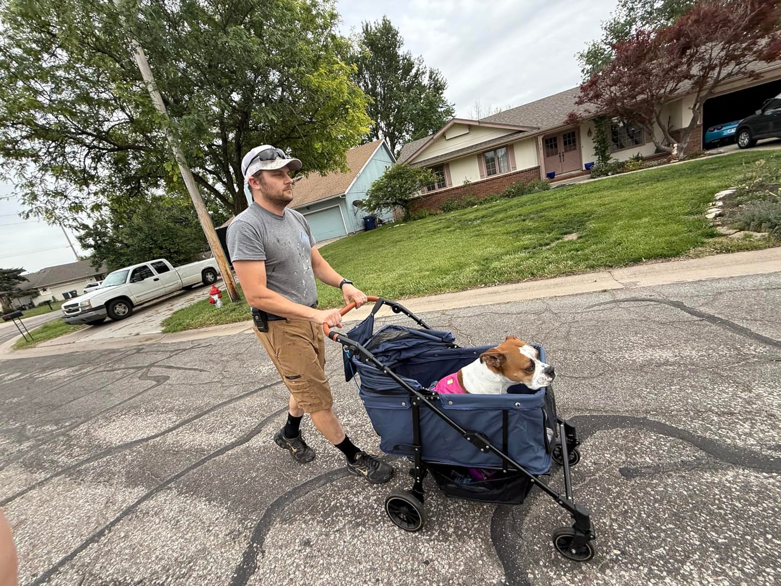 Dog Stroller for Medium & Large Dogs Up to 66 lbs, Pet Stroller for 2 Small Dogs with Adjustable Handle & Canopy, Sun Shades, Storage Organizer, Foldable & Ventilated,Navy Blue customer photo 2
