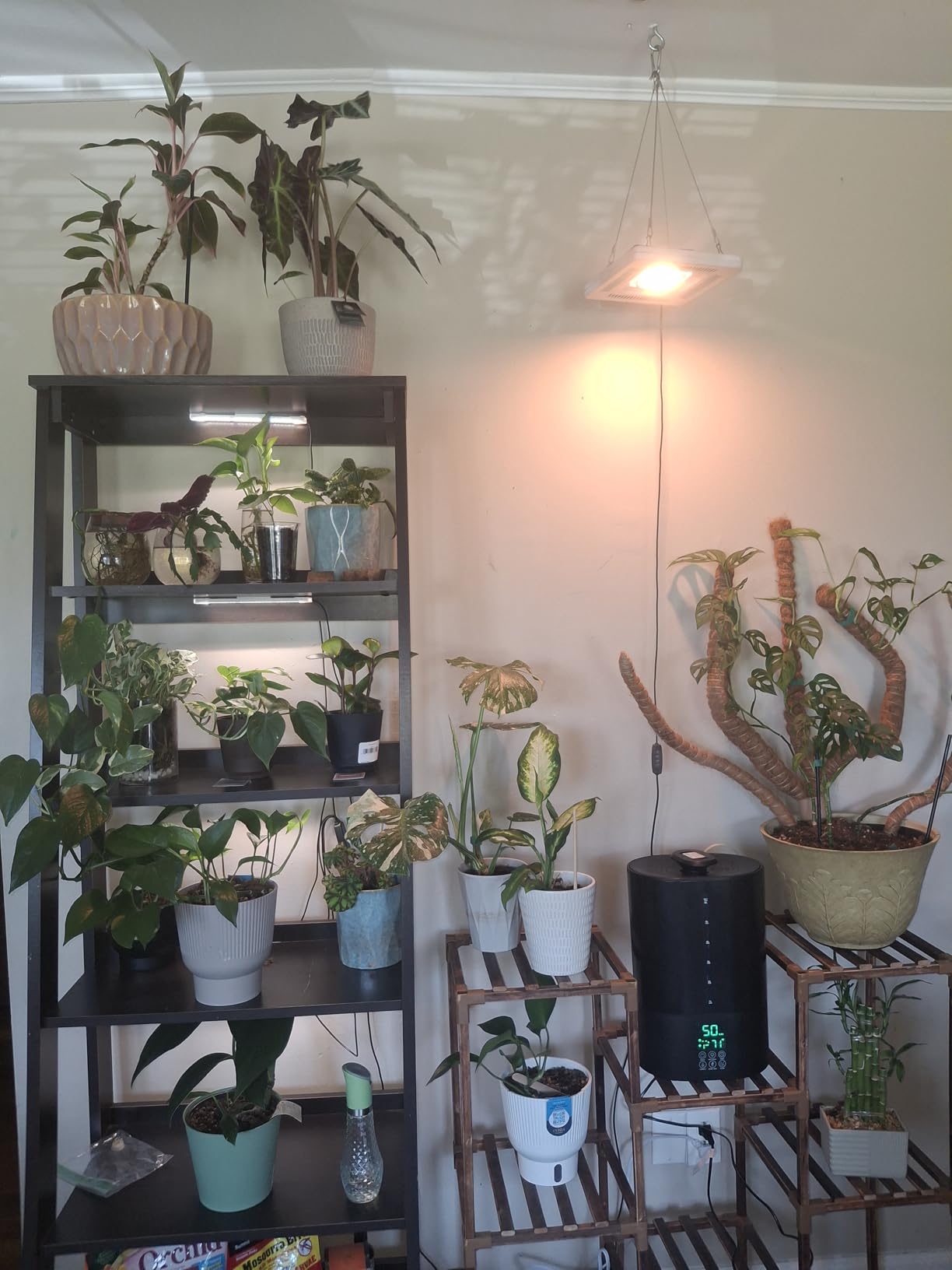 Coolfiqu 6L Warm & Cool Mist Humidifiers for Bedroom,Large Room,Plants customer photo 1